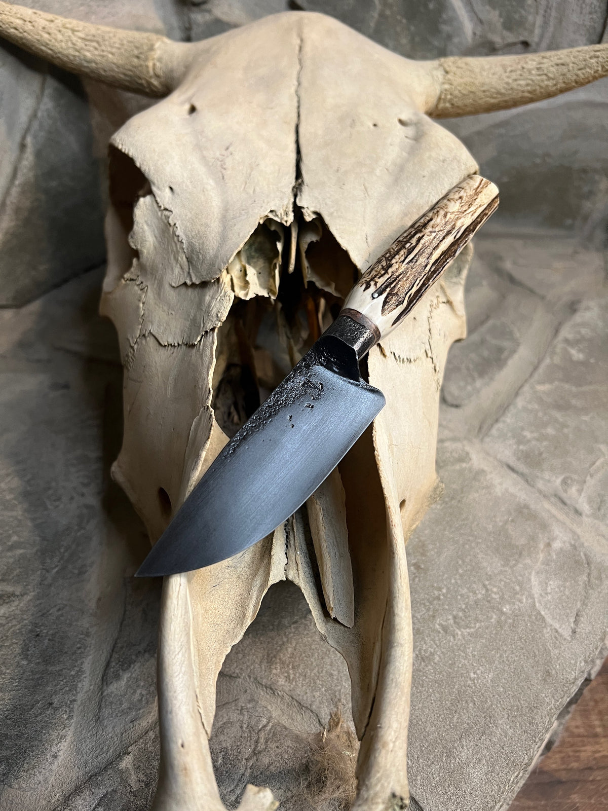 Brute de forge intregal with stag handle