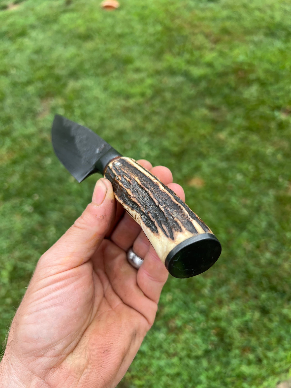 Brute de forge hunter